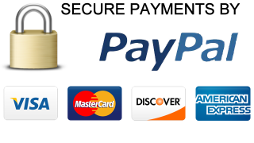 secure payment